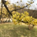 신안갈전마을 이미지