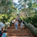 말조형물(동상) | 태국 치앙마이 5박6일 자유여행 후기 (4일차) - 도이수텝사원/왓판타오 사원/창푸악게이트/삼왕동상