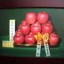 덕산면018 Daum카페