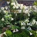 황보농장 이미지