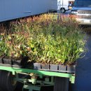 하이농장 이미지