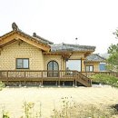 흙과 나무 이미지