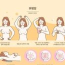 찌릿찌릿 여자 유방 통증 원인 및 : 왼쪽 오른쪽 유방통 이미지