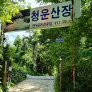 청운개발 티스토리