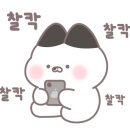 카페마주 이미지
