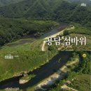 주홍민박