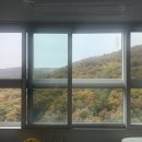 제일윈 네이버블로그