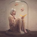 aurora(오로라) 이미지