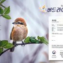 영원로 네이버블로그