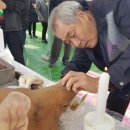 태양광고사 이미지