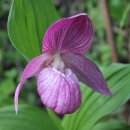 산중농원 이미지