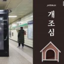 양지애드