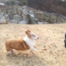 박순호의 아이슬란드 이미지