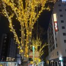 감성풀풀 | 후쿠오카 빵집 추천 풀풀 하카타 명란바게트 웨이팅 맛집