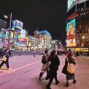 헤이미트 이미지