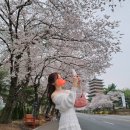 신평루 | 경주 여행지 황룡원 보문단지 데이트 핫플 경주 가볼만한곳