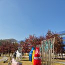 행정사사무소THEONE더원 이미지