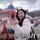 양지횟집식당 이미지