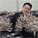 여우골농장 이미지