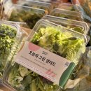 (주)아산팜 | 한강 잠수교를 물들인 싱그러움! 2026 뚜벅뚜벅 축제 '서로장터' 팝업 후기 🌉🥗