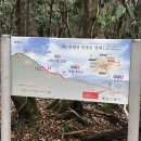 고산하늘하연과학교습소 | [2020 제주도] 등린이의 와장창창 한라산 등반기 (성판악-관음사 코스)
