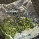 푸른식당 | 푸른회식당 포장 오징어무침 솔직 후기, 반고개 무침회 맛집