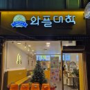 속초와플맛집 다양한 종류의 와플과 젤라또아이스크림의 조합 와플대학 속초조양캠퍼스