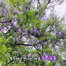 오창초 가좌분교 이미지