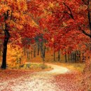 아이데스크 이미지