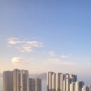 더 티(the T) 이미지