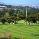 CC카써비스 | 제주도 골프장 예약 겨울에 인기좋은 제주 라헨느cc 라운드 부킹 후기