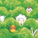 남해-171 이미지