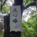 심*봉