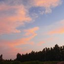 솔동산로 이미지