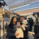 리부트핏 이미지