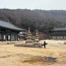 불회사(제44호)