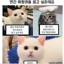 속초밤하늘글램핑