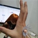 즐거운목장 이미지