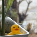 샘물식당 이미지