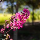 좋은아침 이미지