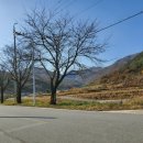 점촌농장 이미지