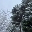 [人인생] 2동탄_댄스학원 추천_피엘댄스스튜디오💃(솔직후기)_with 첫눈❄