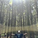 사려니숲길주차장 이미지