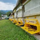 경남양봉산업 이미지