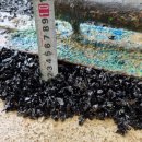 중랑경찰서어린이집 이미지