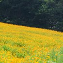 황금공원 이미지