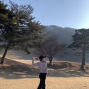 용인골프존 이미지