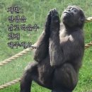 오월이 굉장히 덥군요.