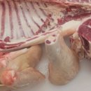 주식회사 해라 이미지