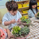 송림초등학교병설유치원 이미지